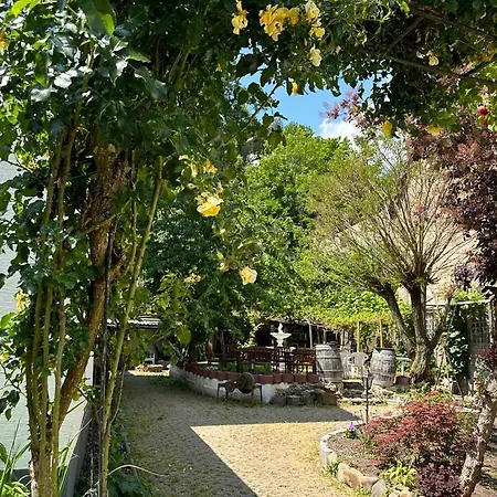 4 Zkb 5 Personen Appartement